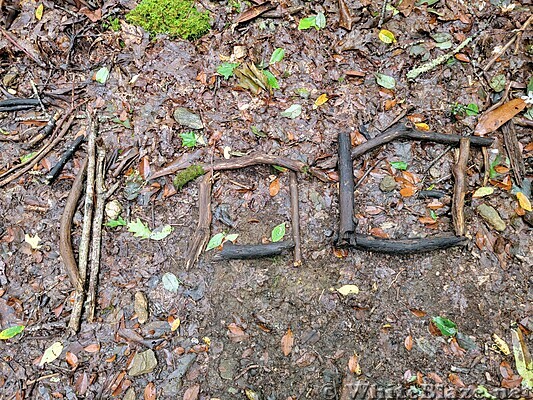 Appalachian Trail