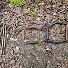 Appalachian Trail