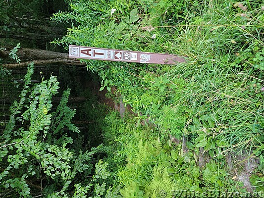 Appalachian Trail