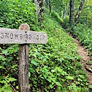Appalachian Trail by SmokyMtn Hiker in Trail & Blazes in North Carolina & Tennessee