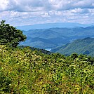 Siler Bald by SmokyMtn Hiker in Views in North Carolina & Tennessee