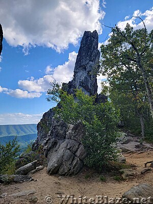 Dragon's Tooth