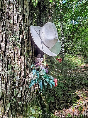 Appalachian Trail