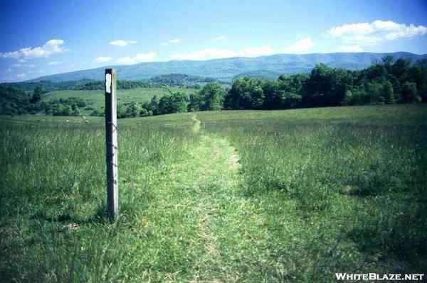 Trail through pasture