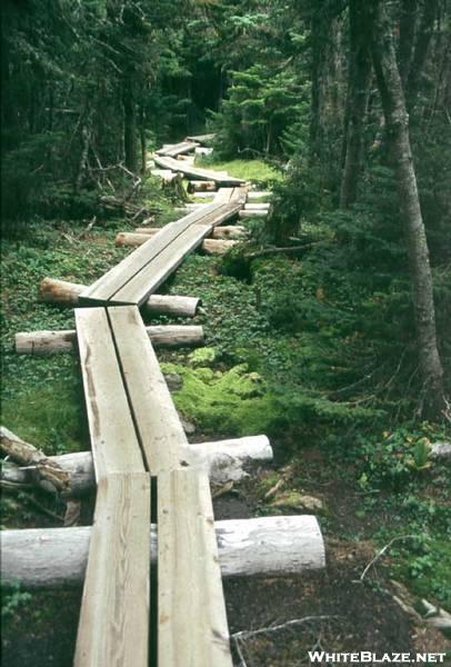 Log Bridges near Mount Moriah, NH