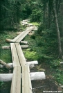 Log Bridges near Mount Moriah, NH by The Old Fhart in Trail & Blazes in New Hampshire