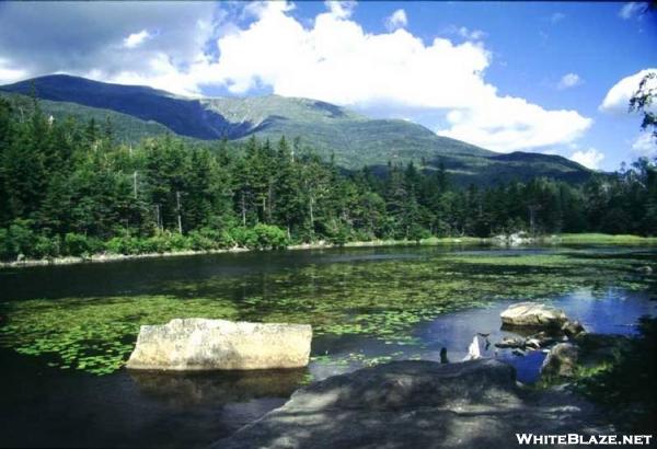 Lost Pond, Pinkham Notch, NH