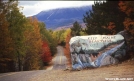 Fall shot of the access road to Baxter by The Old Fhart in Views in Maine