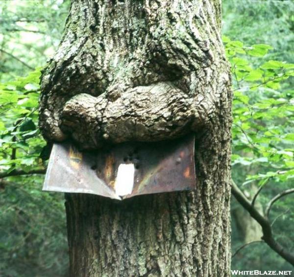 Smiling tree eating sign