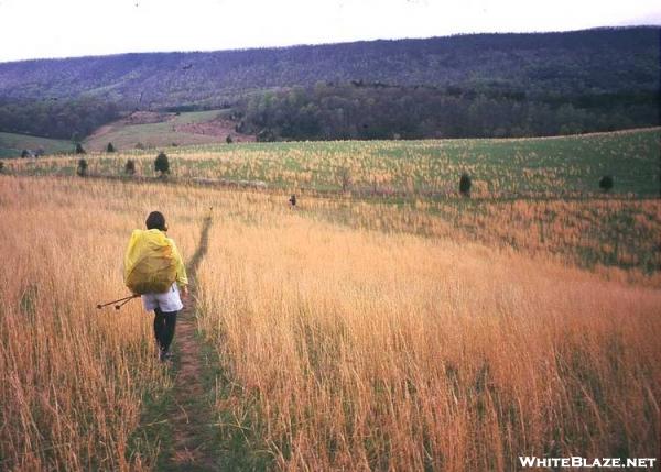 Sinking Creek Valley