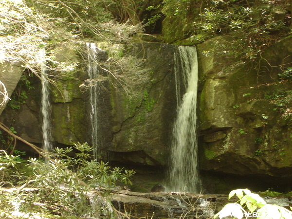 Virginia Hawkins Falls