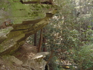 Panther Creek Falls, Clarkesville, Ga by Bulldawg in Section Hikers