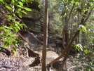 Panther Creek Falls by Bulldawg in Other Trails