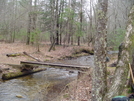 Coosa Backcountry Trail