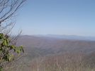 Tray Mountain 3/23/2008 by Bulldawg in Trail & Blazes in Georgia