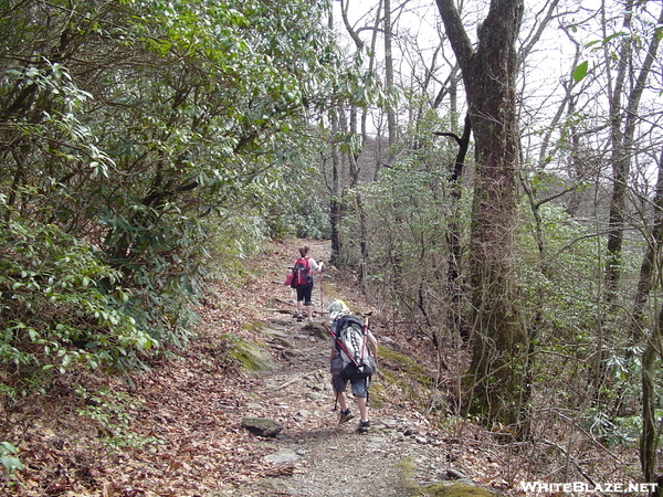 Rabun Bald--georgia's 2nd Tallest 4/6/08