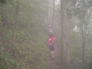 Tray Mountain In The Fog 9/1/08