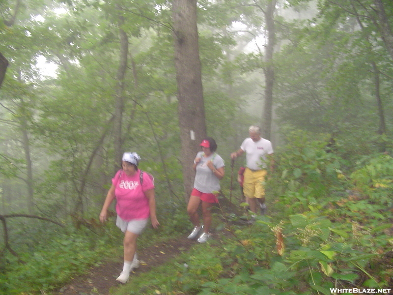 Tray Mountain In The Fog 9/1/08