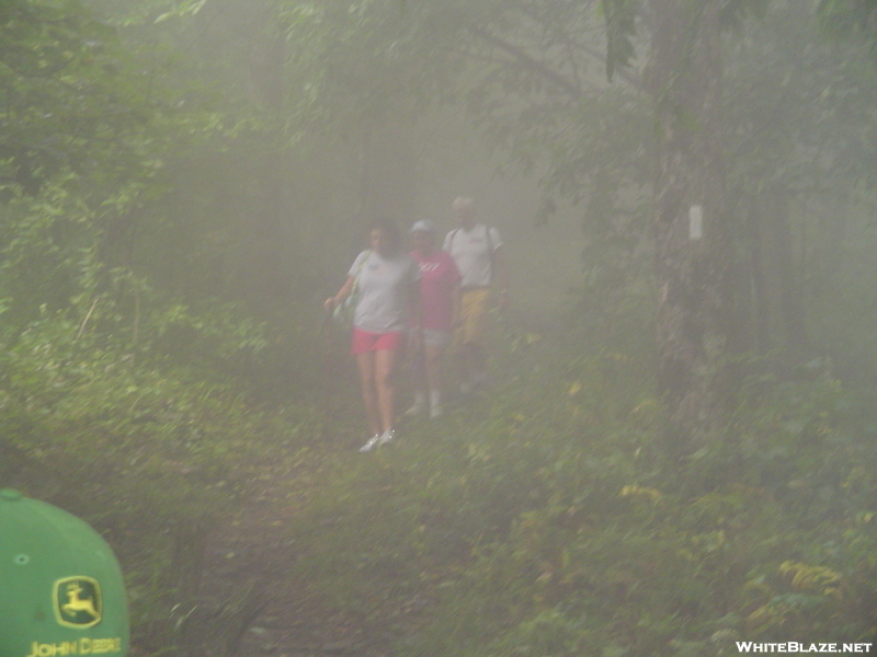 Tray Mountain In The Fog 9/1/08