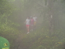 Tray Mountain In The Fog 9/1/08 by Bulldawg in Trail & Blazes in Georgia