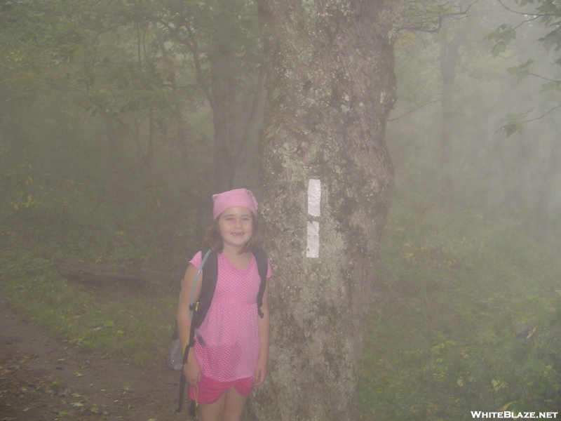 Tray Mountain In The Fog 9/1/08