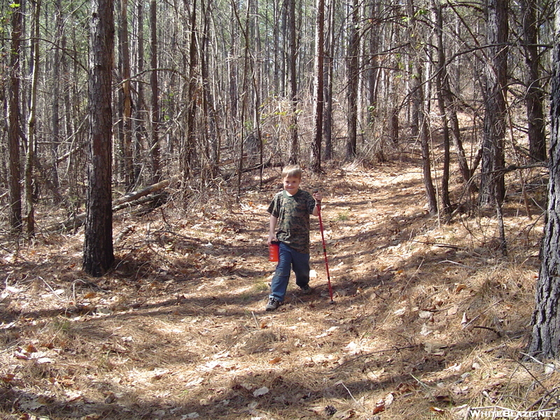 Rhododendron Trail