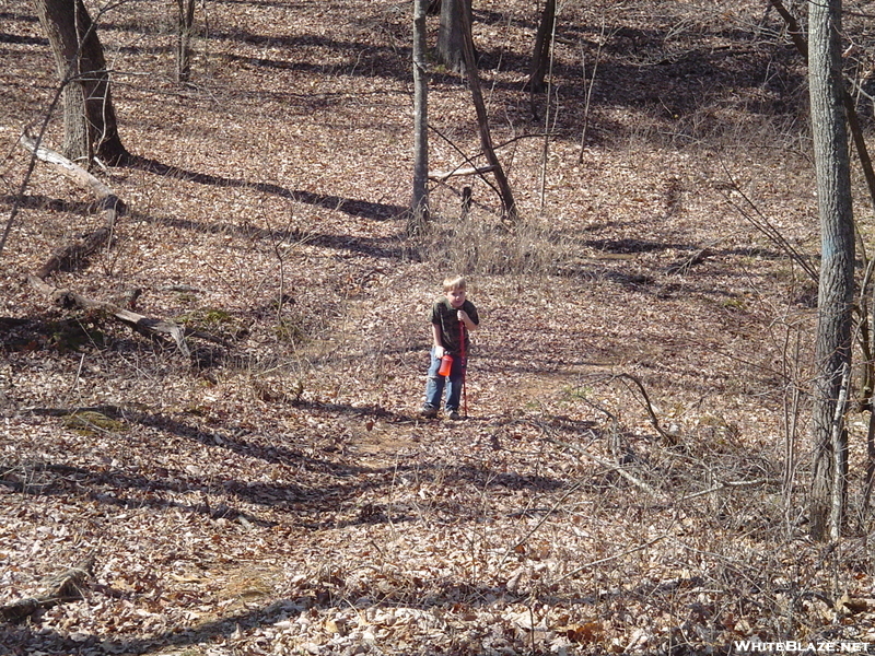 Rhododendron Trail