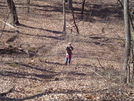 Rhododendron Trail