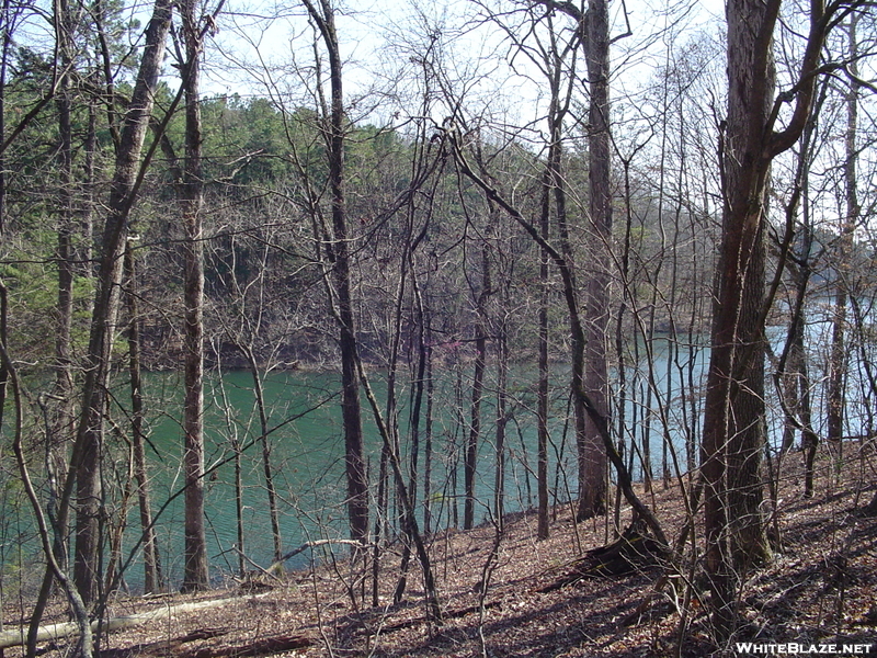 Rhododendron Trail