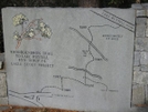 Rhododendron Trail--cornelia, Georgia