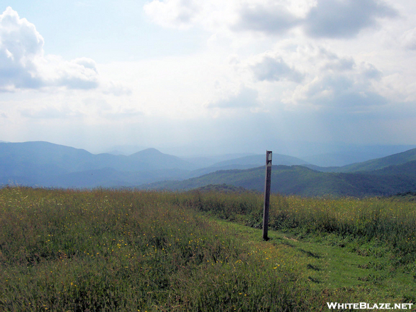 max patch