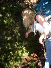 April On Chattooga River Sc by bswilarmy in Other Trails