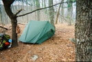 Coosa Backcountry Trail by gungho in Faces of WhiteBlaze members