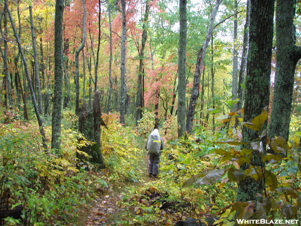 Appalachian Trail Trip  3 And Gaf 072