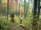 Appalachian Trail Trip  3 And Gaf 072 by gungho in Section Hikers