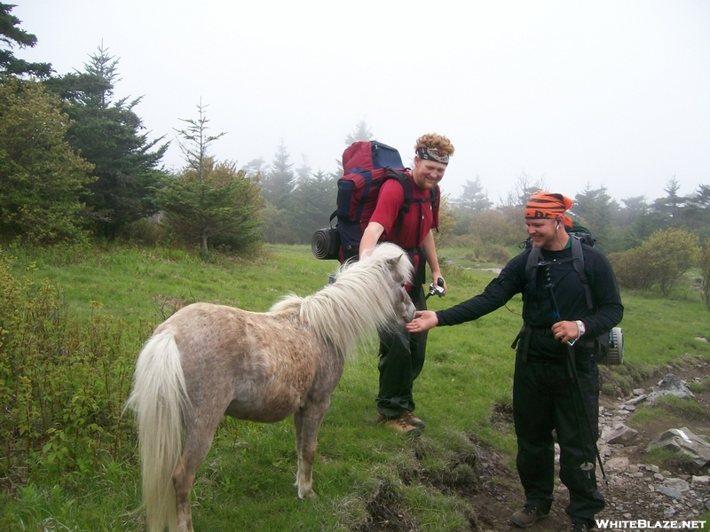 At Thru Hike 2008