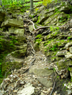 Cup & Saucer, Manitoulin Island by AmyJanette in Other Trails