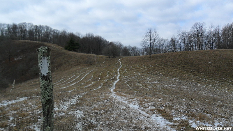 just north of Sams Gap Ski slopes in the distance