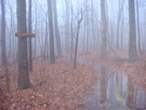 The River Uh... Trail Near Devils Racecourse by Aesculus in Trail & Blazes in Maryland & Pennsylvania