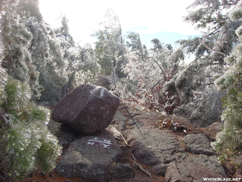 Ice Covered Trees At Ny/nj Border