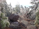 Ice Covered Trees At Ny/nj Border by Aesculus in Views in New Jersey & New York