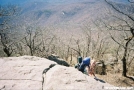 feather at Blood mountain