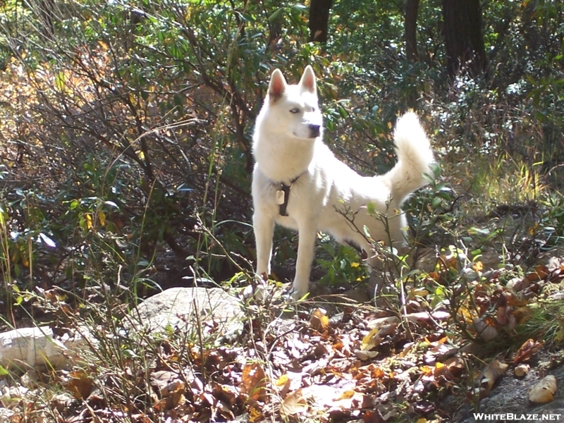 Trail Work