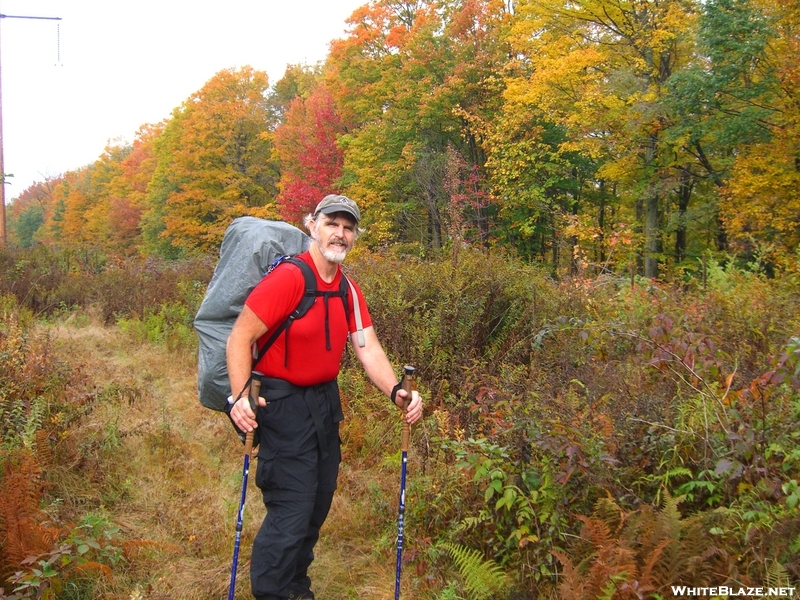 Fall Hike In Mass