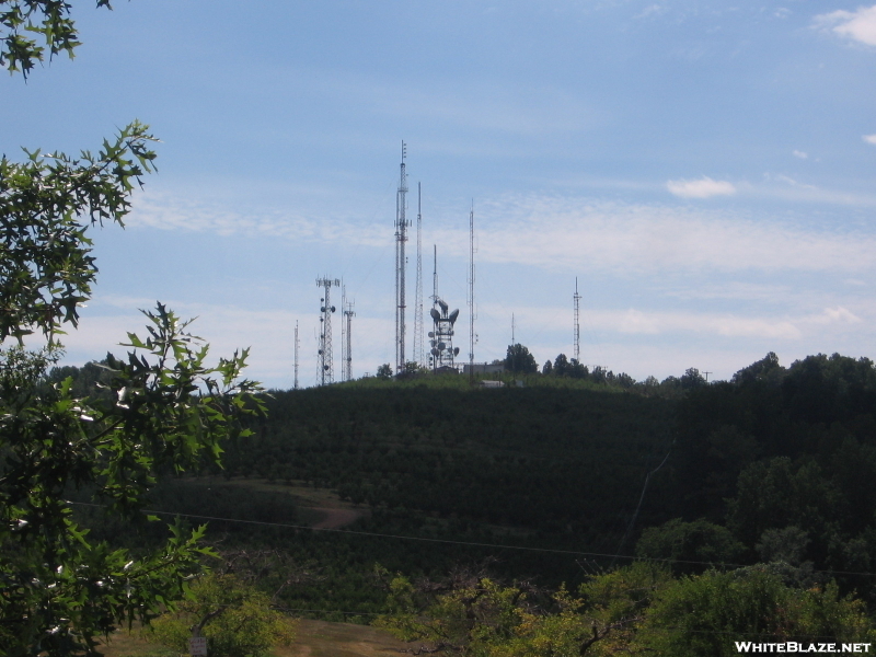 Carter Mtn Apple Orchard