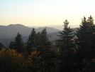 From Mt Sterling Firetower