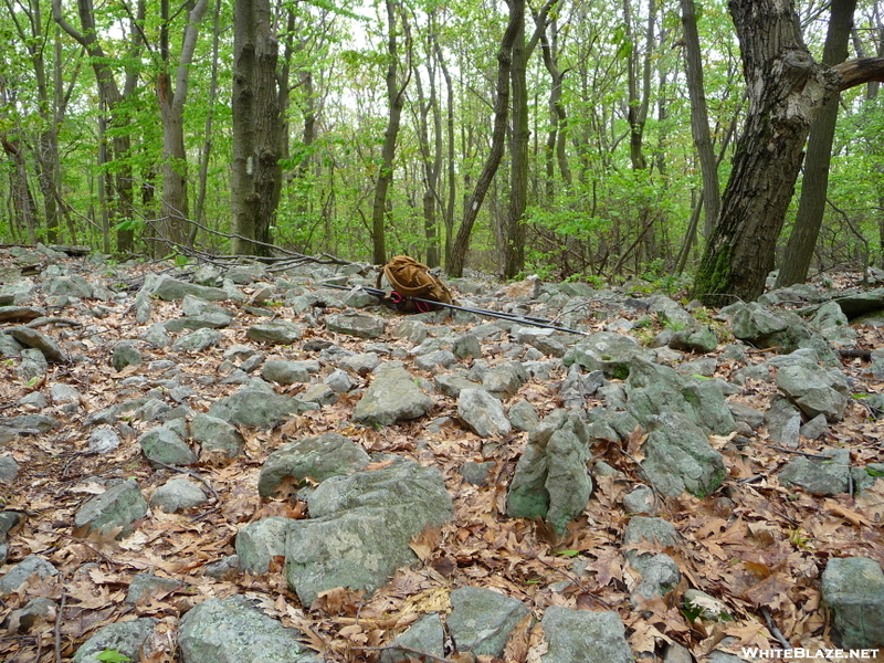 7 Miles Of Rock Garden In Pa S. Of Fox Gap