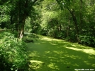 C&O Canal TowPath by MedicineMan in Views in Maryland & Pennsylvania