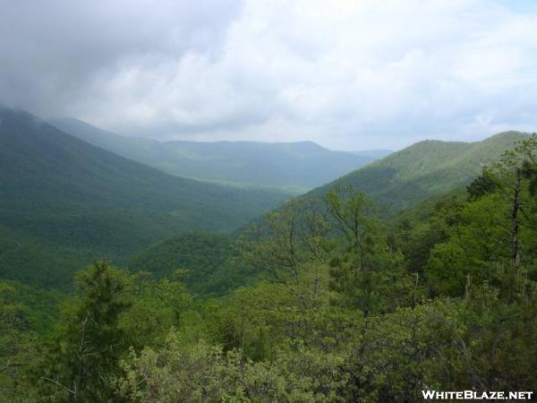 On the way to Apple Orchard Mtn.