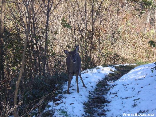 How dare you walk on my trail :)